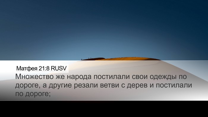 Матфея 21:8 RUSV Desktop Wallpaper - Множество же народа - Desktop Bible Verse Wallpaper