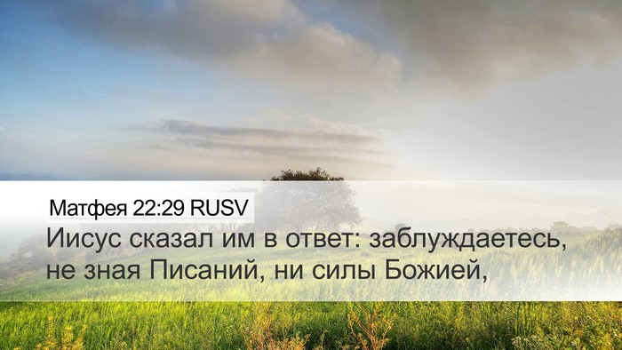 Матфея 22:29 RUSV Bible Verse Image