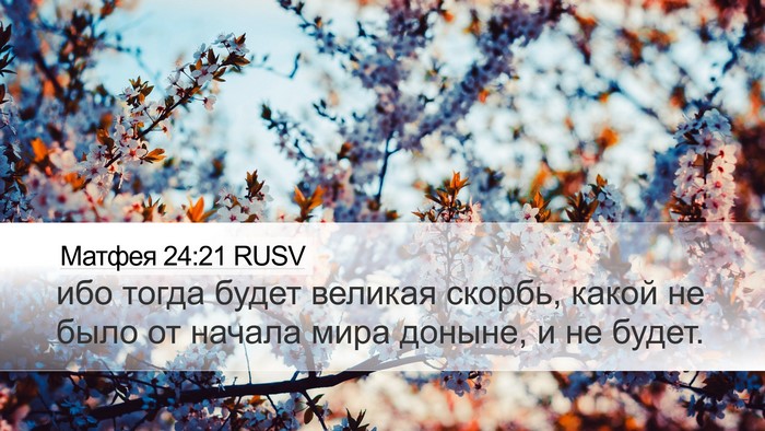 Матфея 24:21 RUSV Bible Verse Image
