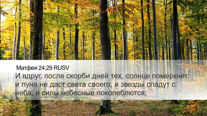 Матфея 24:29 RUSV Bible Verse Image