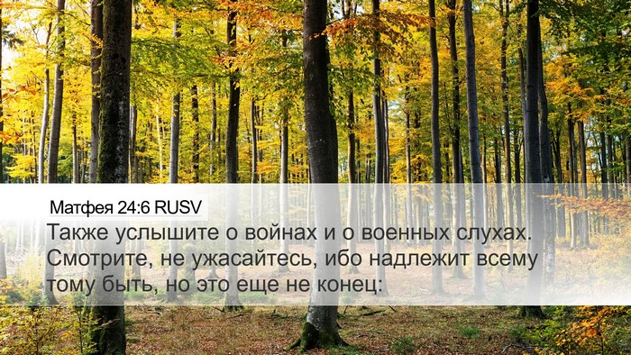 Матфея 24:6 RUSV Bible Verse Image