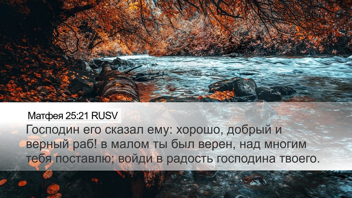Матфея 25:21 RUSV Bible Verse Image
