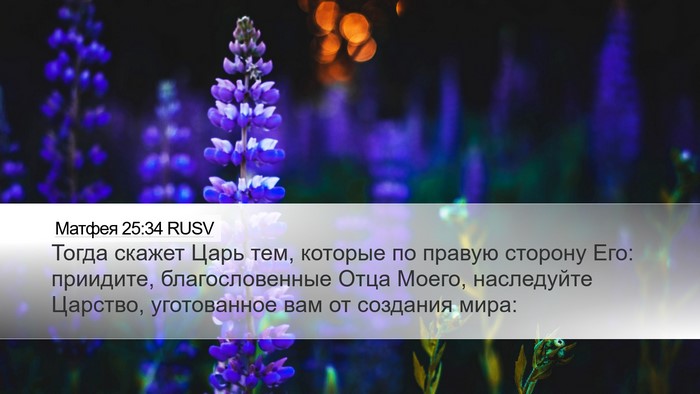 Матфея 25:34 RUSV Bible Verse Image