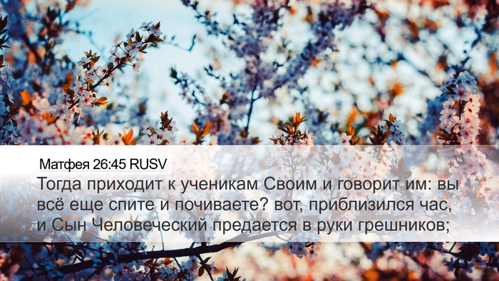 Матфея 26:45 RUSV Desktop Wallpaper - Тогда приходит к ученикам - Desktop Bible Verse Wallpaper