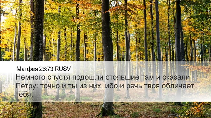Матфея 26:73 RUSV Desktop Wallpaper - Немного спустя подошли - Desktop Bible Verse Wallpaper