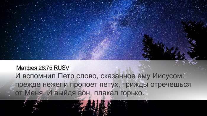 Матфея 26:75 RUSV Bible Verse Image