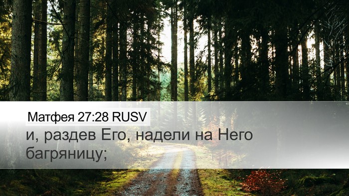 Матфея 27:28 RUSV Bible Verse Image
