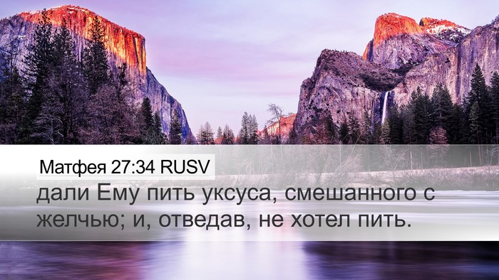 Матфея 27:34 RUSV Bible Verse Image