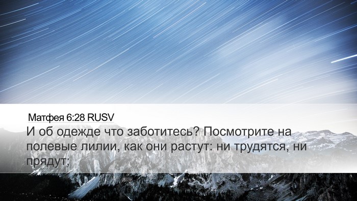 Матфея 6:28 RUSV Bible Verse Image