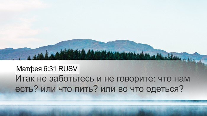 Матфея 6:31 RUSV Bible Verse Image