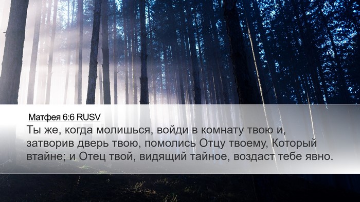 Матфея 6:6 RUSV Bible Verse Image
