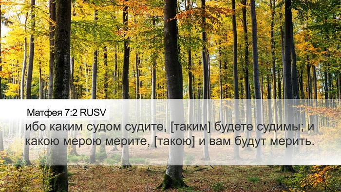 Матфея 7:2 RUSV Bible Verse Image