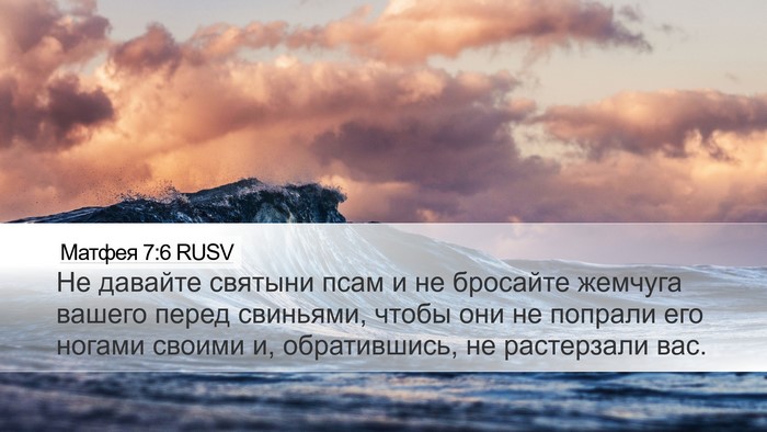 Матфея 7:6 RUSV Bible Verse Image
