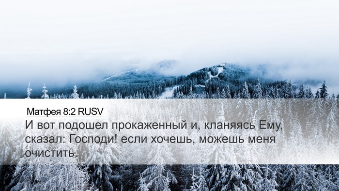 Матфея 8:2 RUSV Bible Verse Image