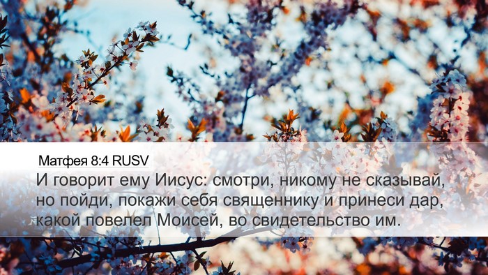 Матфея 8:4 RUSV Bible Verse Image