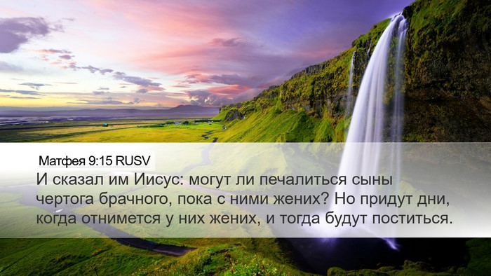 Матфея 9:15 RUSV Bible Verse Image