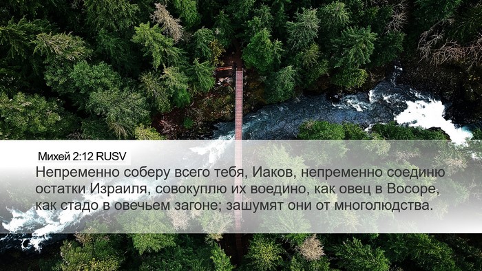 Михей 2:12 RUSV Bible Verse Image