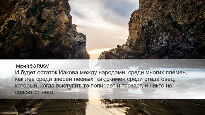 Михей 5:8 RUSV Bible Verse Image