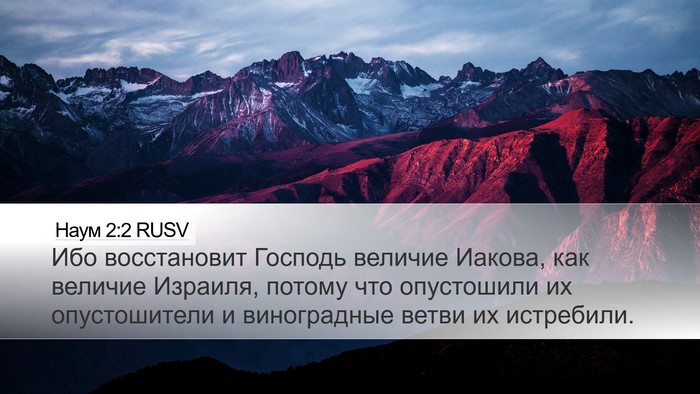 Наум 2:2 RUSV Bible Verse Image
