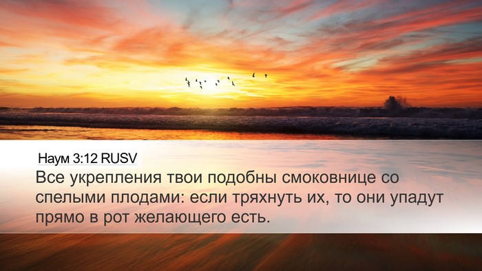 Наум 3:12 RUSV Bible Verse Image