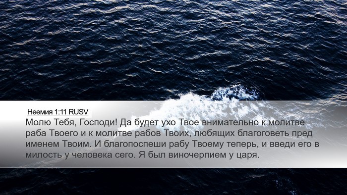 Неемия 1:11 RUSV Bible Verse Image
