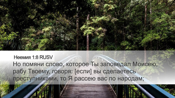 Неемия 1:8 RUSV Bible Verse Image