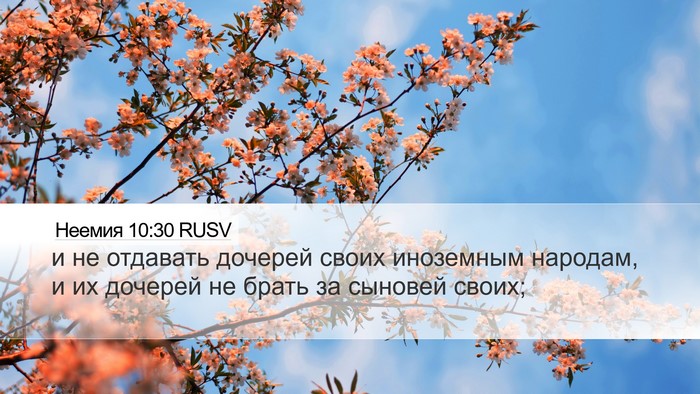 Неемия 10:30 RUSV Bible Verse Image
