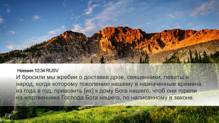 Неемия 10:34 RUSV Bible Verse Image