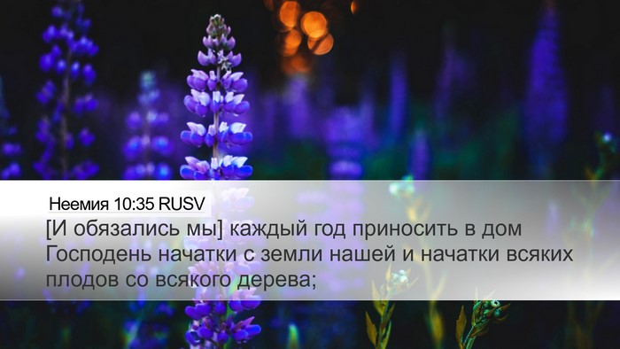 Неемия 10:35 RUSV Bible Verse Image