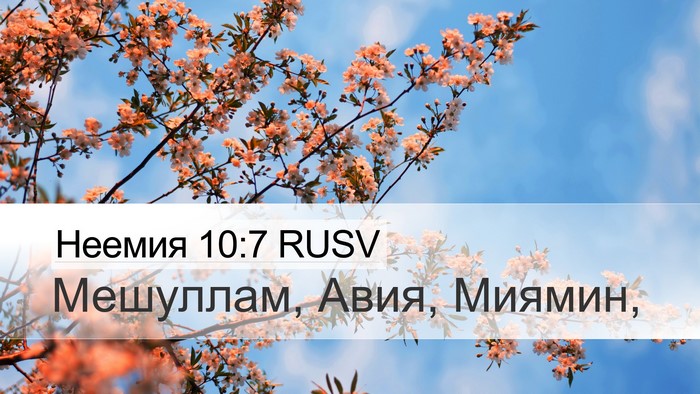 Неемия 10:7 RUSV Desktop Wallpaper - Мешуллам, Авия, - Desktop Bible Verse Wallpaper