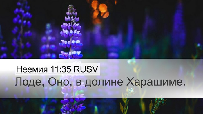 Неемия 11:35 RUSV Bible Verse Image