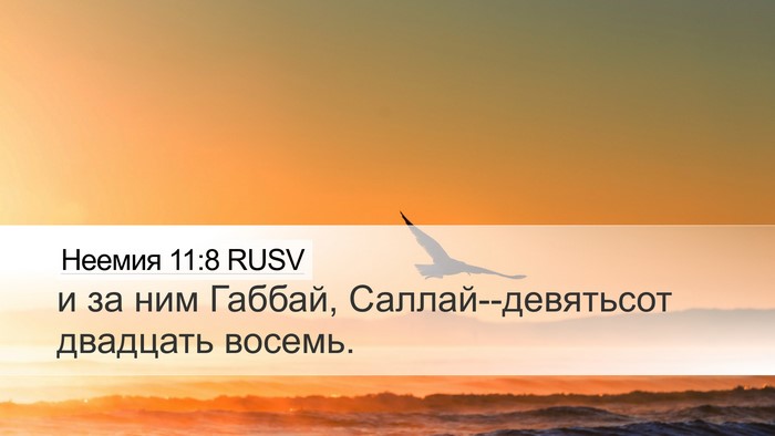 Неемия 11:8 RUSV Desktop Wallpaper - и за ним Габбай, - Desktop Bible Verse Wallpaper