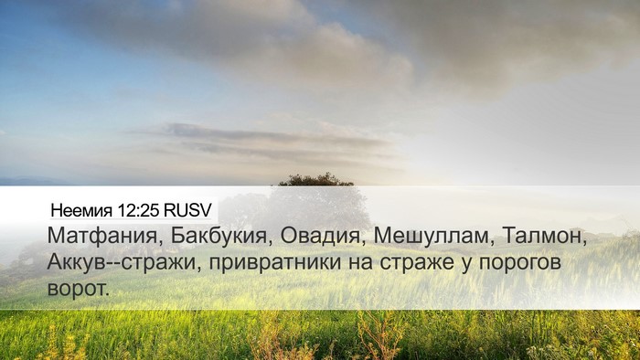 Неемия 12:25 RUSV Bible Verse Image