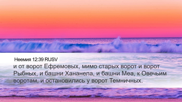 Неемия 12:39 RUSV Bible Verse Image