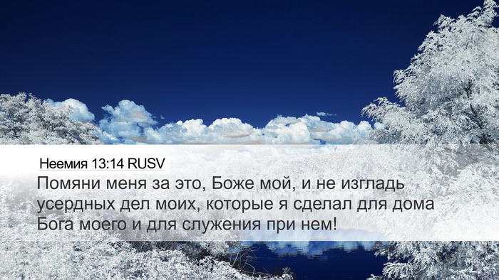 Неемия 13:14 RUSV Bible Verse Image