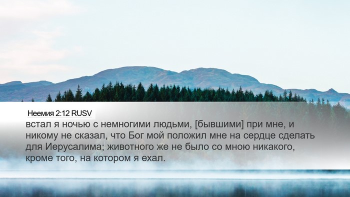 Неемия 2:12 RUSV Bible Verse Image