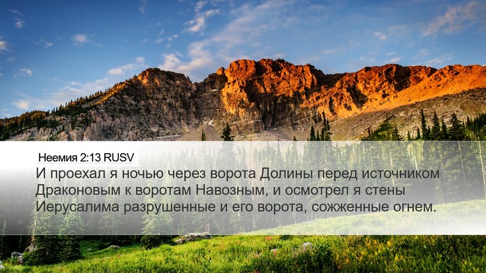 Неемия 2:13 RUSV Bible Verse Image