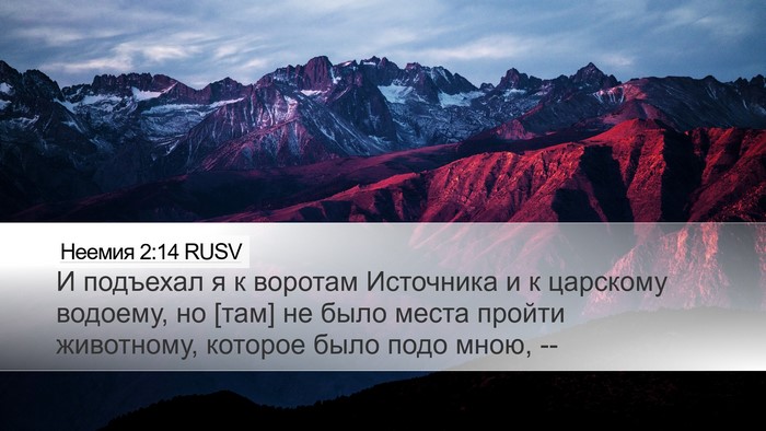 Неемия 2:14 RUSV Bible Verse Image