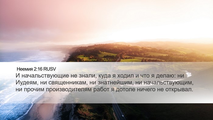 Неемия 2:16 RUSV Desktop Wallpaper - И начальствующие не знали, - Desktop Bible Verse Wallpaper