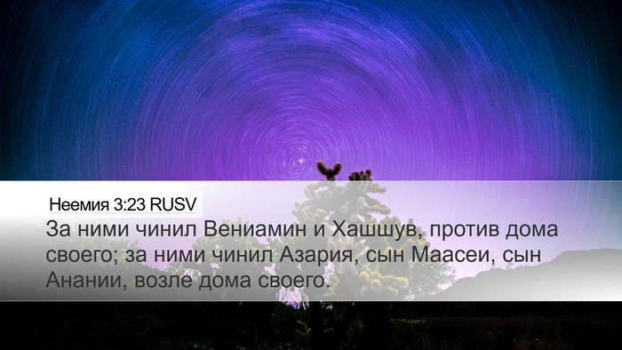 Неемия 3:23 RUSV Bible Verse Image
