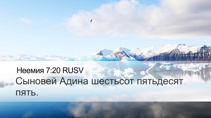 Неемия 7:20 RUSV Desktop Wallpaper - Сыновей Адина шестьсот - Desktop Bible Verse Wallpaper