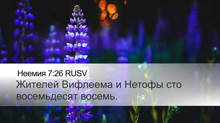 Неемия 7:26 RUSV Bible Verse Image
