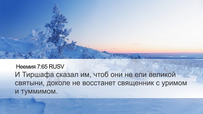 Неемия 7:65 RUSV Bible Verse Image