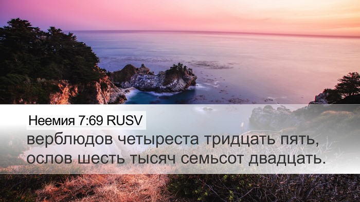 Неемия 7:69 RUSV Desktop Wallpaper - верблюдов четыреста - Desktop Bible Verse Wallpaper