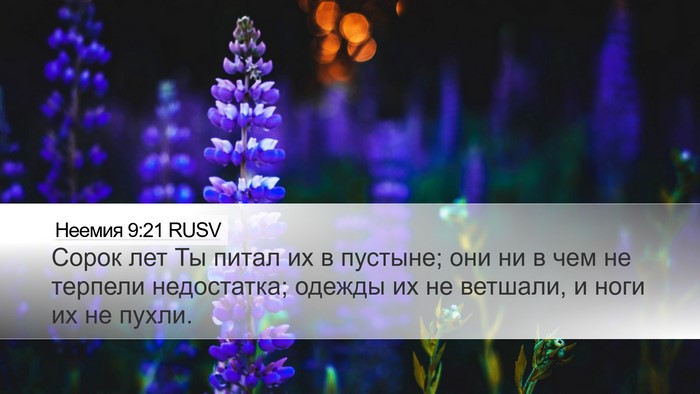 Неемия 9:21 RUSV Bible Verse Image