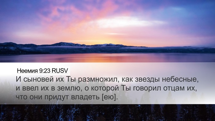 Неемия 9:23 RUSV Bible Verse Image