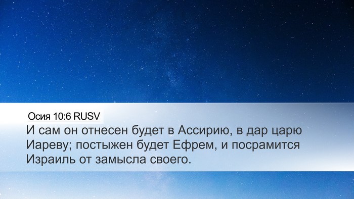 Осия 10:6 RUSV Bible Verse Image