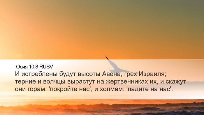 Осия 10:8 RUSV Bible Verse Image