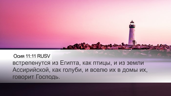 Осия 11:11 RUSV Bible Verse Image