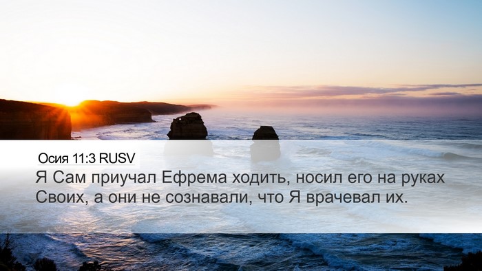 Осия 11:3 RUSV Desktop Wallpaper - Я Сам приучал Ефрема - Desktop Bible Verse Wallpaper